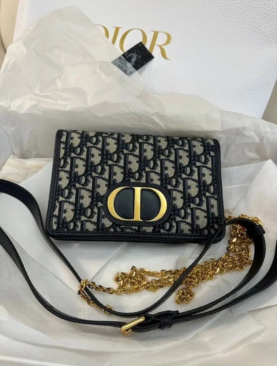 Dior ディオール モンテーニュ ベルト チェーンバッグ