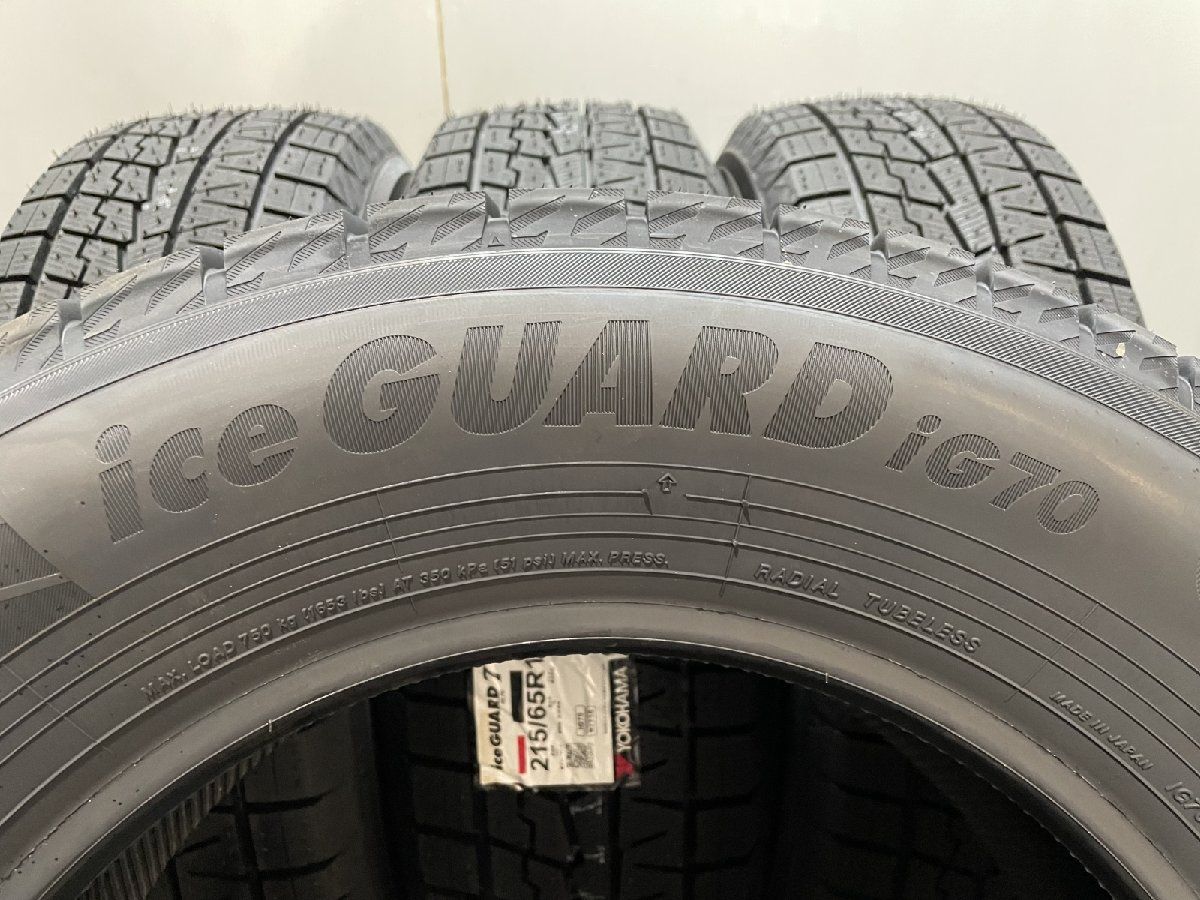 ice GUARD