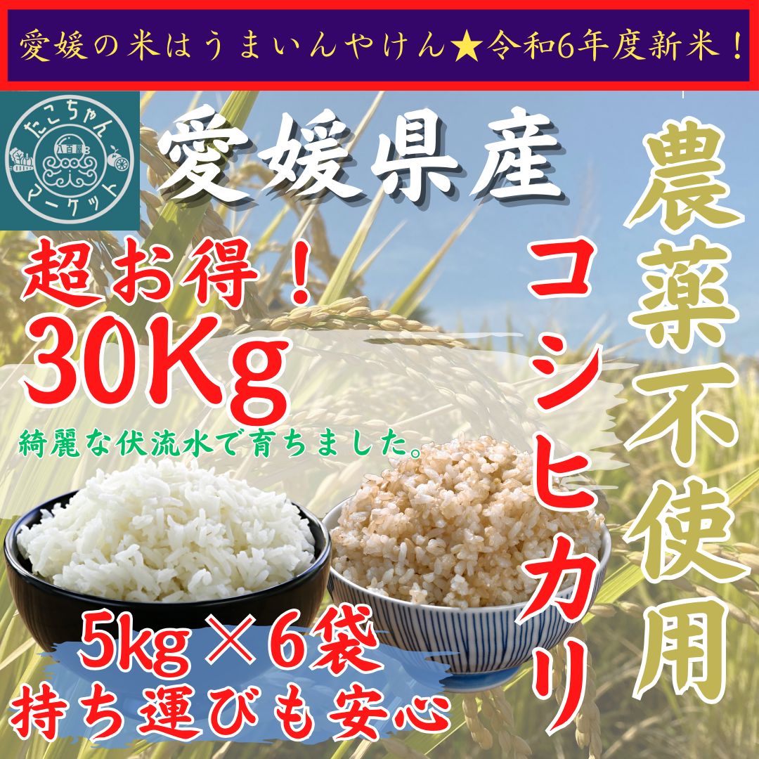 無農薬栽培 令和6年度 新米【玄米・白米選べます】愛媛県産 お米 コシヒカリ 30kg 無農薬 - メルカリ