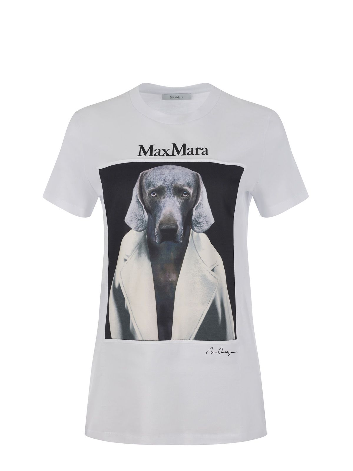 箱無し*MAX MARA CIPRIA[チプリア] ピュア コットン ジャージー