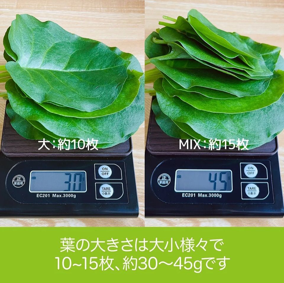 オカワカメ おかわかめ 約200g 雲南百薬 無農薬自然栽培 スーパーフード - メルカリ