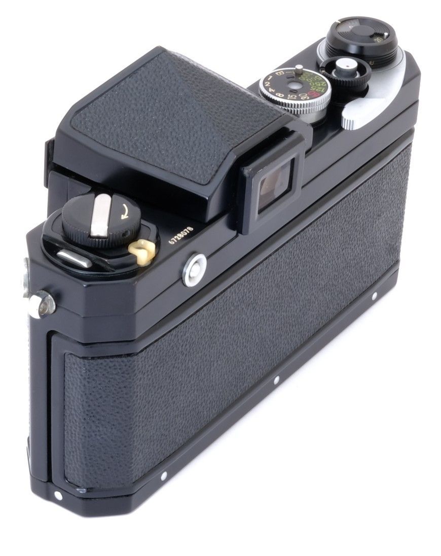 ブラック ボディ