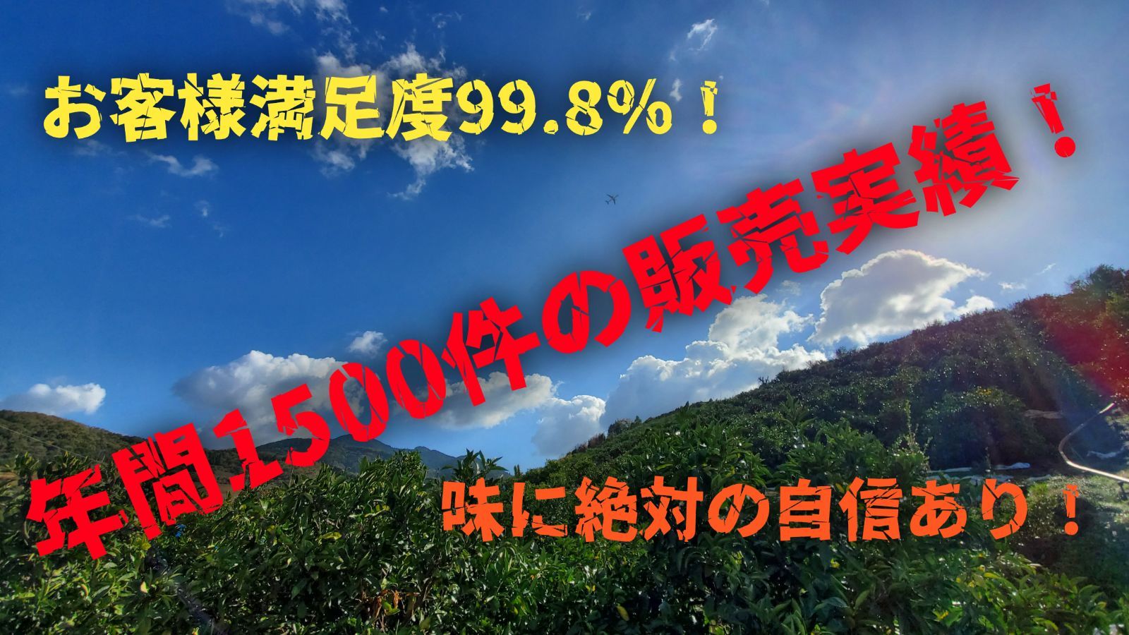 熊本県産みかん『肥のあかり(極早生)』箱込み4.9kg サイズ3S以下