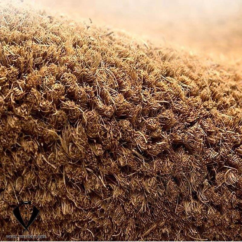 衝撃価格！ 玄関マット 屋外 ココヤシ オシャレ コイヤーマット ドアマット 吸水 屋外マット 玄関マット 屋外 泥落とし ドアマット 北欧 シン 高品質！