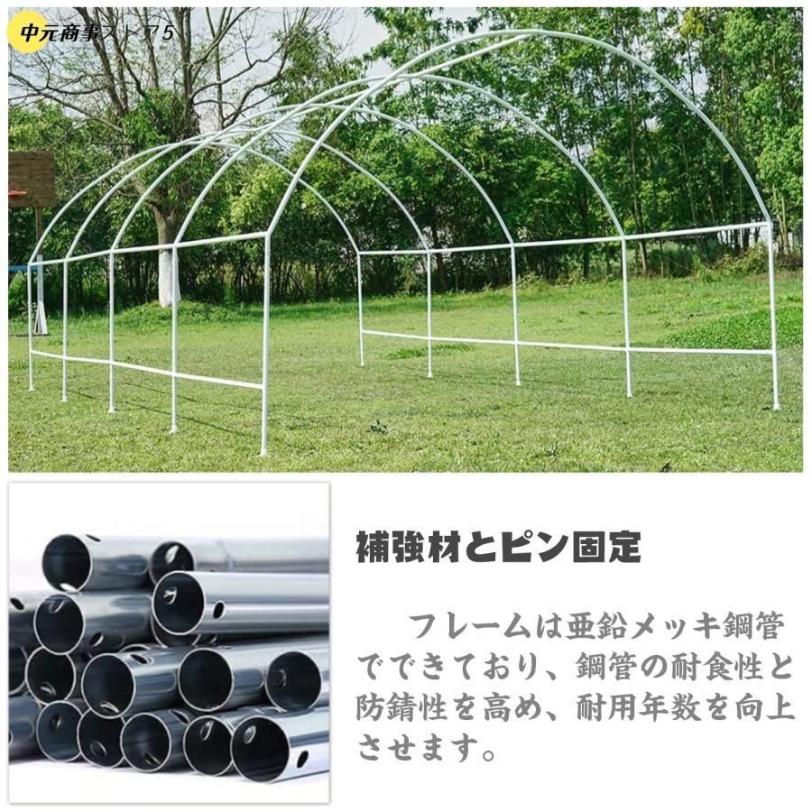 盆栽 バルコニー