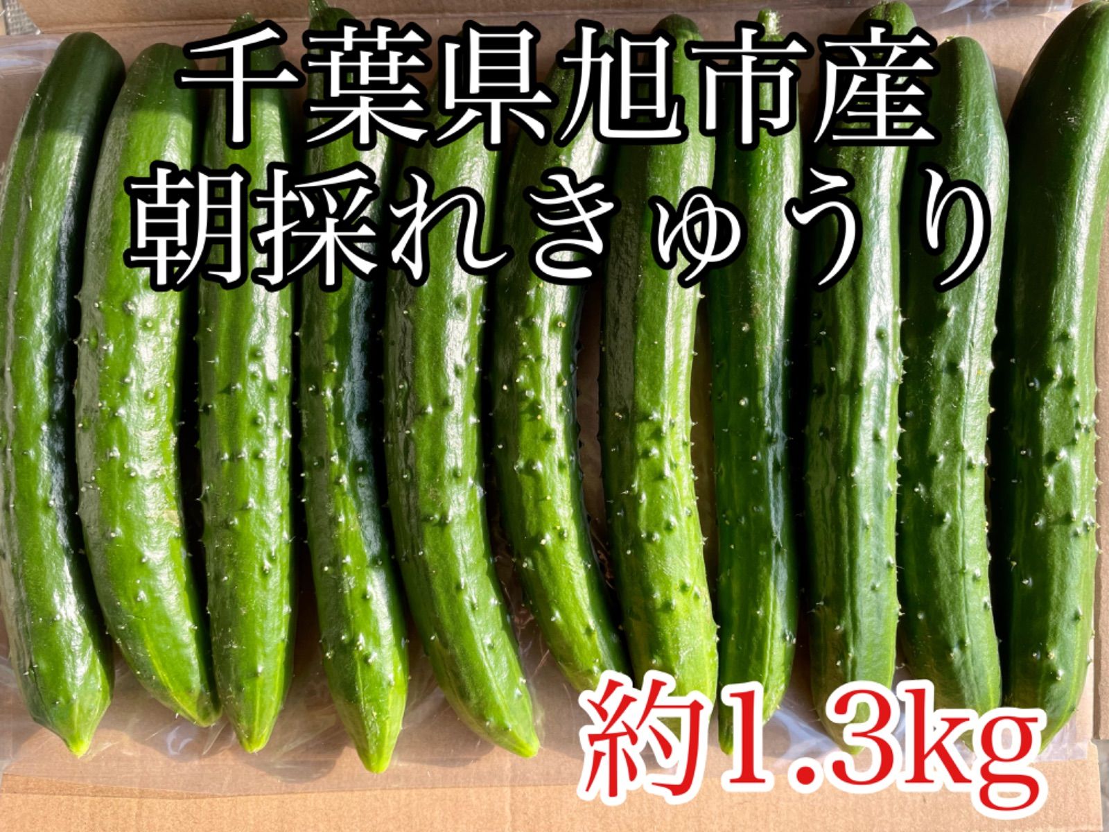 朝どれきゅうり 1.3kg - 野菜