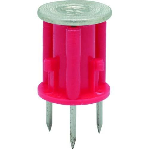 安川眞慈 赤富士(安心) 475×290mm