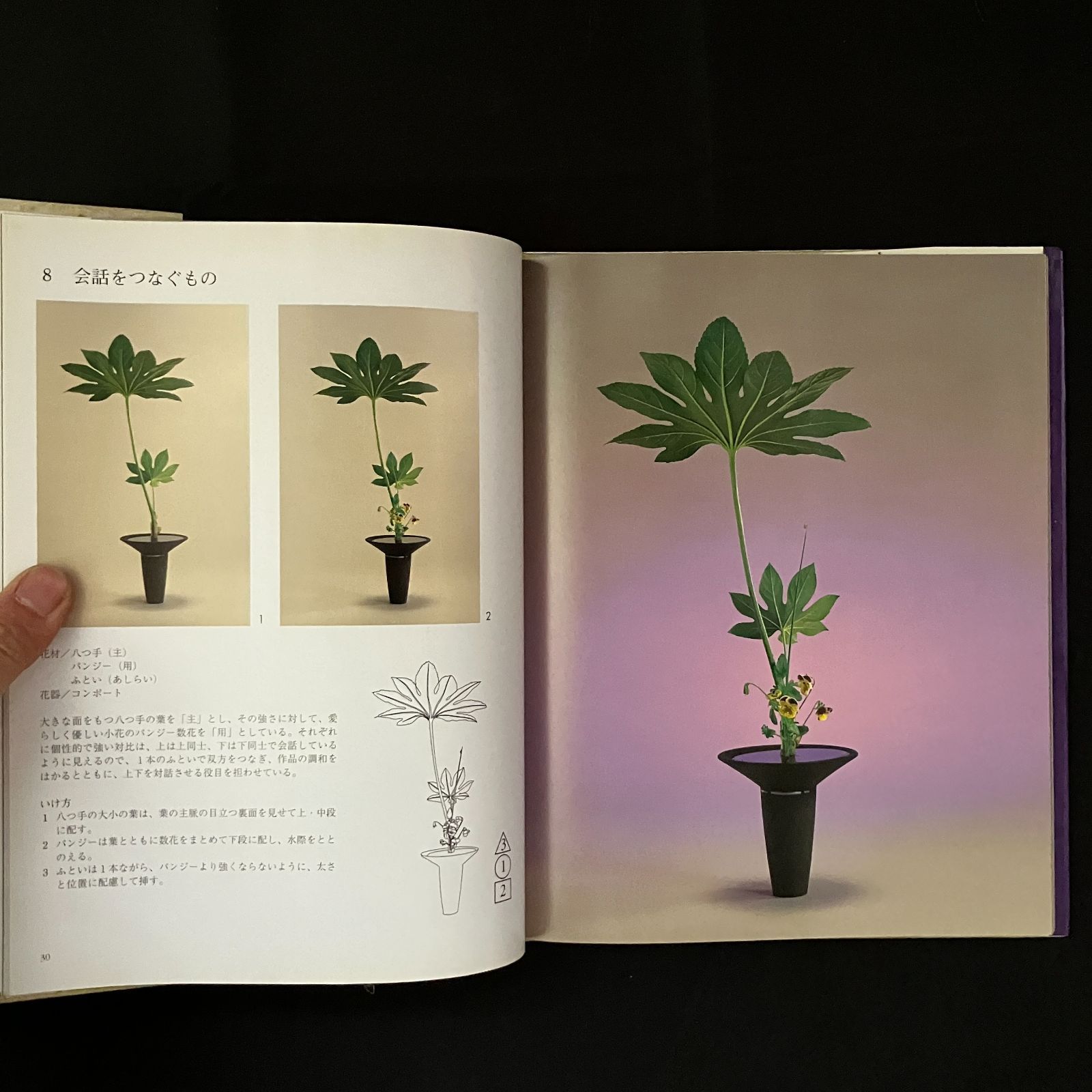 風韻 : 池坊専永のいけばな : 生花新風体 池坊専永 著 143p