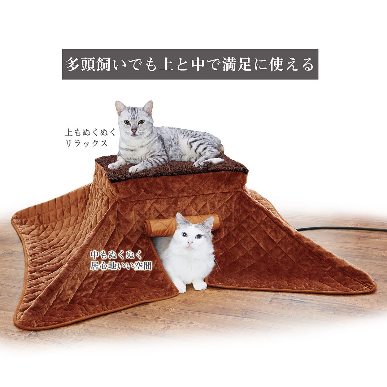 ペティオ