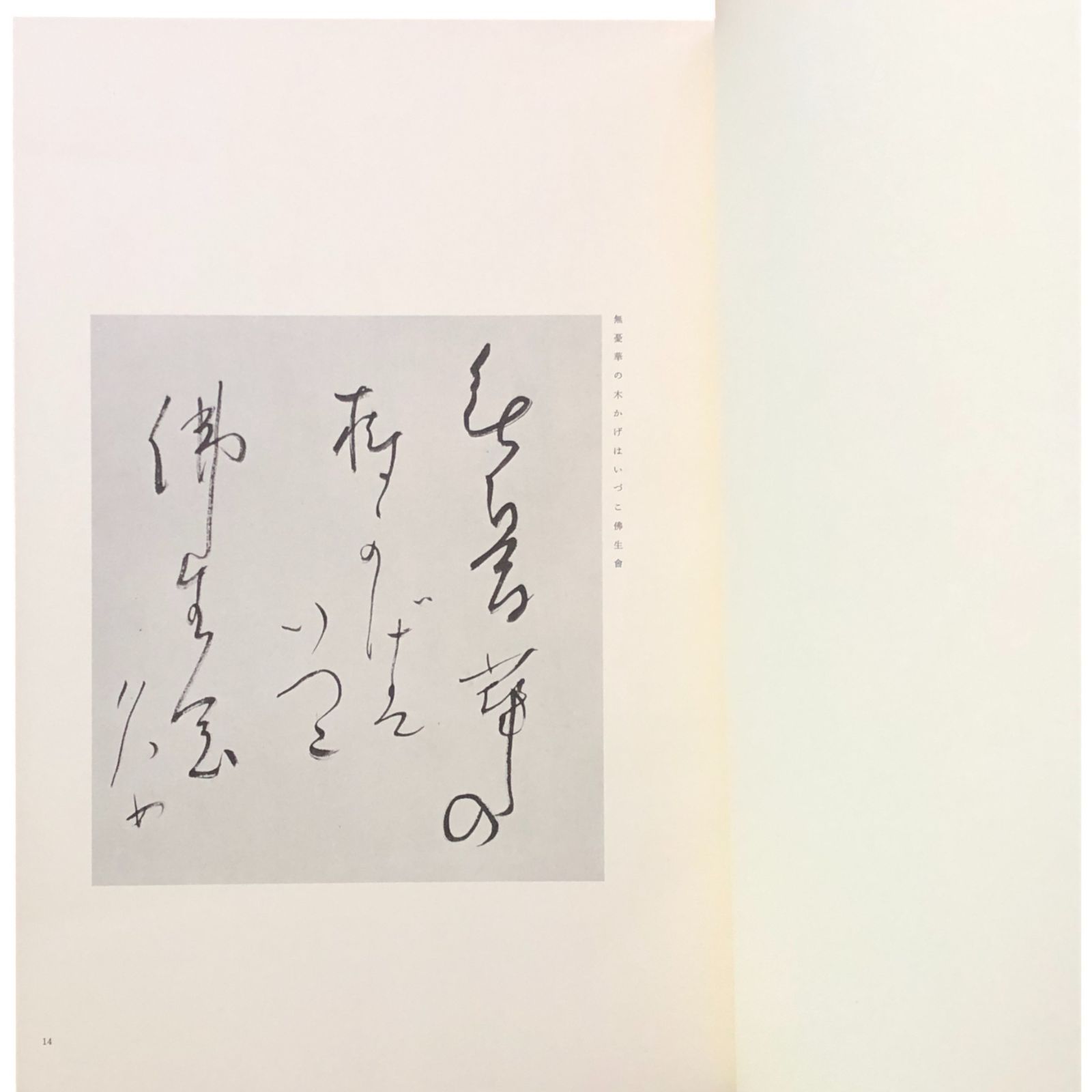 杉田久女遺墨 石昌子 編 東門書屋 昭和55年4月20日 ☆俳句/女流俳人