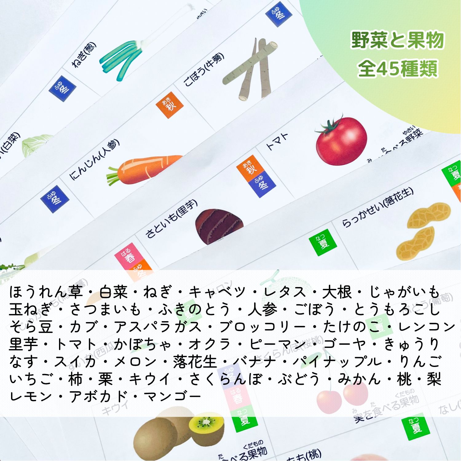 野菜・果物カード 小学校受験教材 理科的常識 幼児教育 知育 断面図 旬の季節 - メルカリ