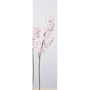 3営業日で発送 桜×95 A-33746-13 入数 12