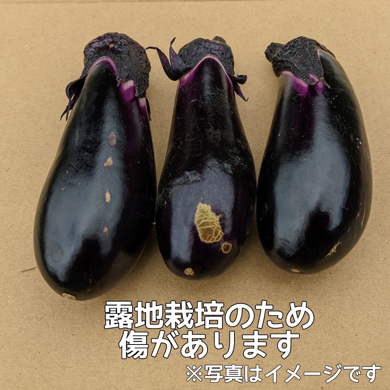 ナス（真仙中長 なす） 宮城県産 宅急便 60サイズ 小茄子 野菜 - メルカリ