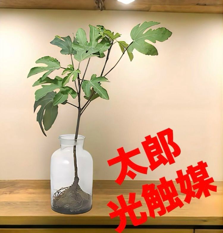 光触媒 人工観葉植物 ウォールグリーン フェイクグリーン 盆栽bonsai