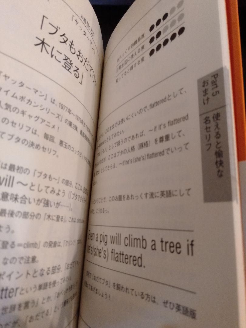 メルカリshops 新品 英語で名セリフ ドラマ アニメの決めセリフ 英語にするとなんて言う