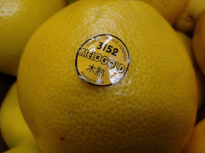 プレミアム 極選木熟メロゴールド 12kg プレミアム 極選木熟メロ