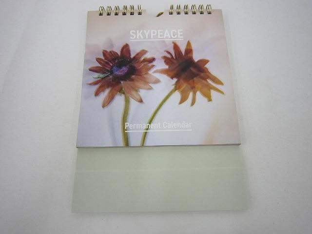 中古品 アーティスト SKYPEACE スカイピース のみ Grateful For