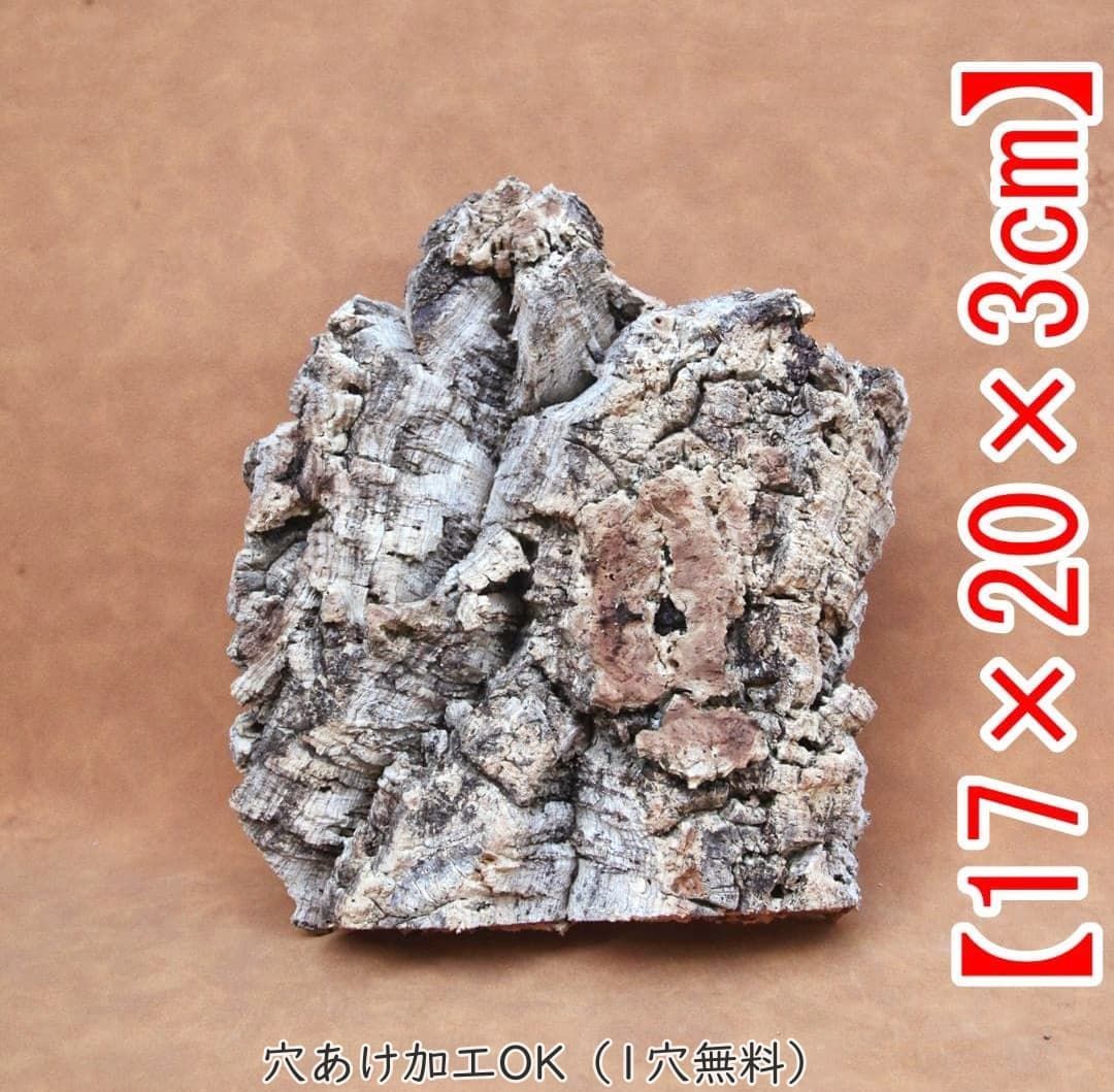 B847【ポルトガル産】 厚め コルク樹皮 コルク板　バージンコルク 送料無料 S095 ポルトガル産 厚め コルク樹皮 コルク板 バージンコルク