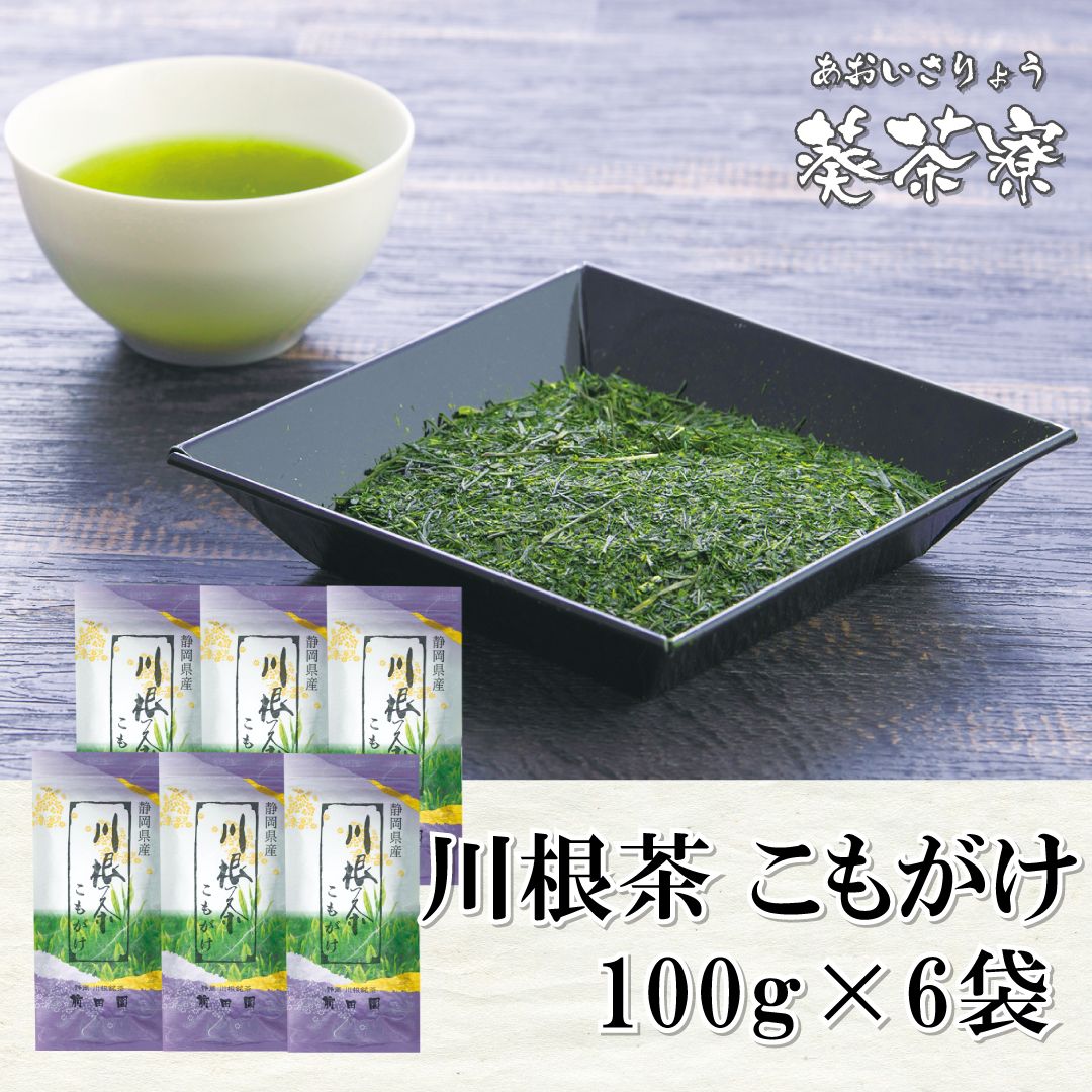 観葉植物 サボテンエスポストア リッテリー(老楽) 3号(現品