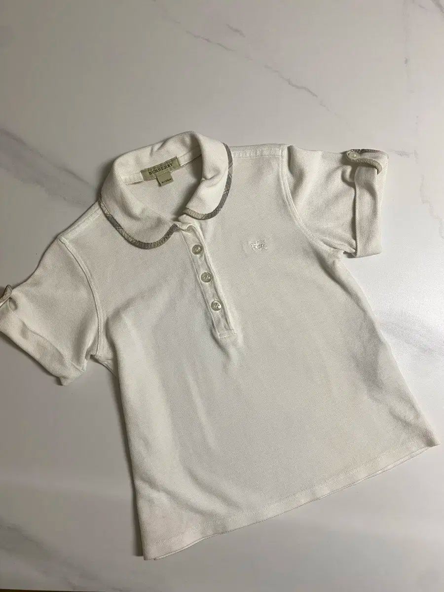 珍品 奄美産 アデク盆栽 古木 メルカリ便