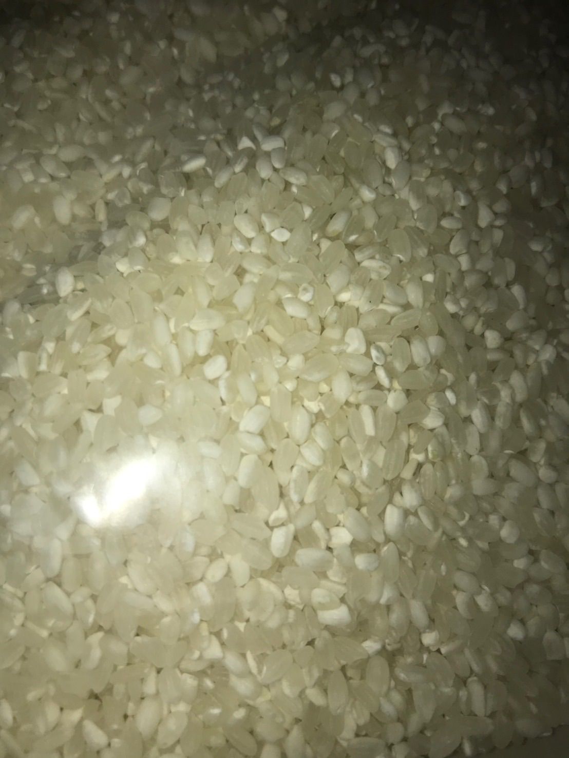 コスパ米 白米 20kg 新品 - メルカリ