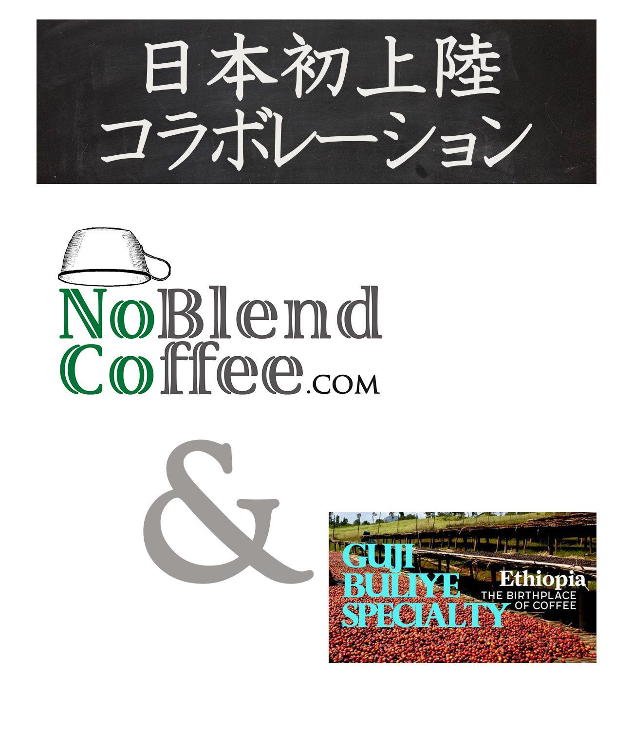 世界TOP1％ 最高級　エチオピア GUJIナチュラルG1 有機 　コーヒー豆 Organic Coffee 【 24年度新豆 自家焙煎　珈琲豆 -豆のまま 200g】