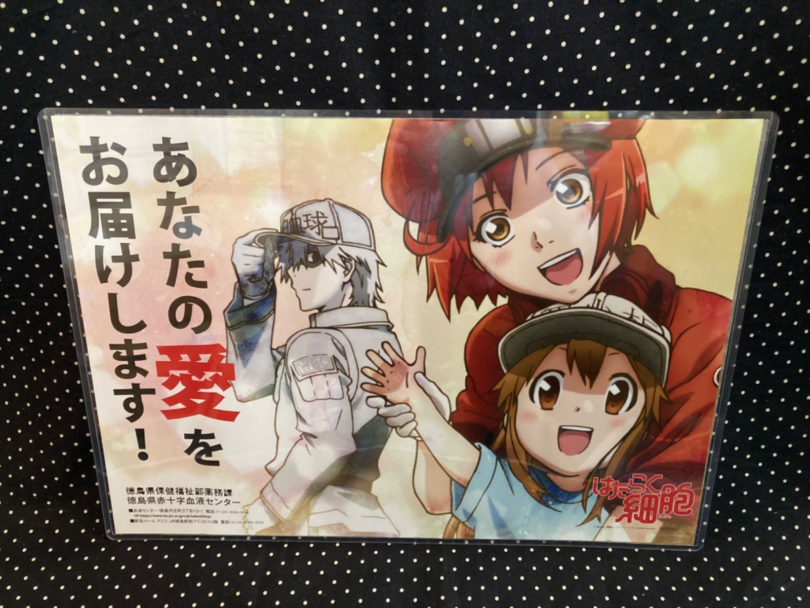 鬼滅の刃 はたらく細胞 ポスター 3枚セット マチ★アソビ 献血 鬼滅の刃 はたらく細胞 ポスター 3枚セット マチ☆アソビ 献血