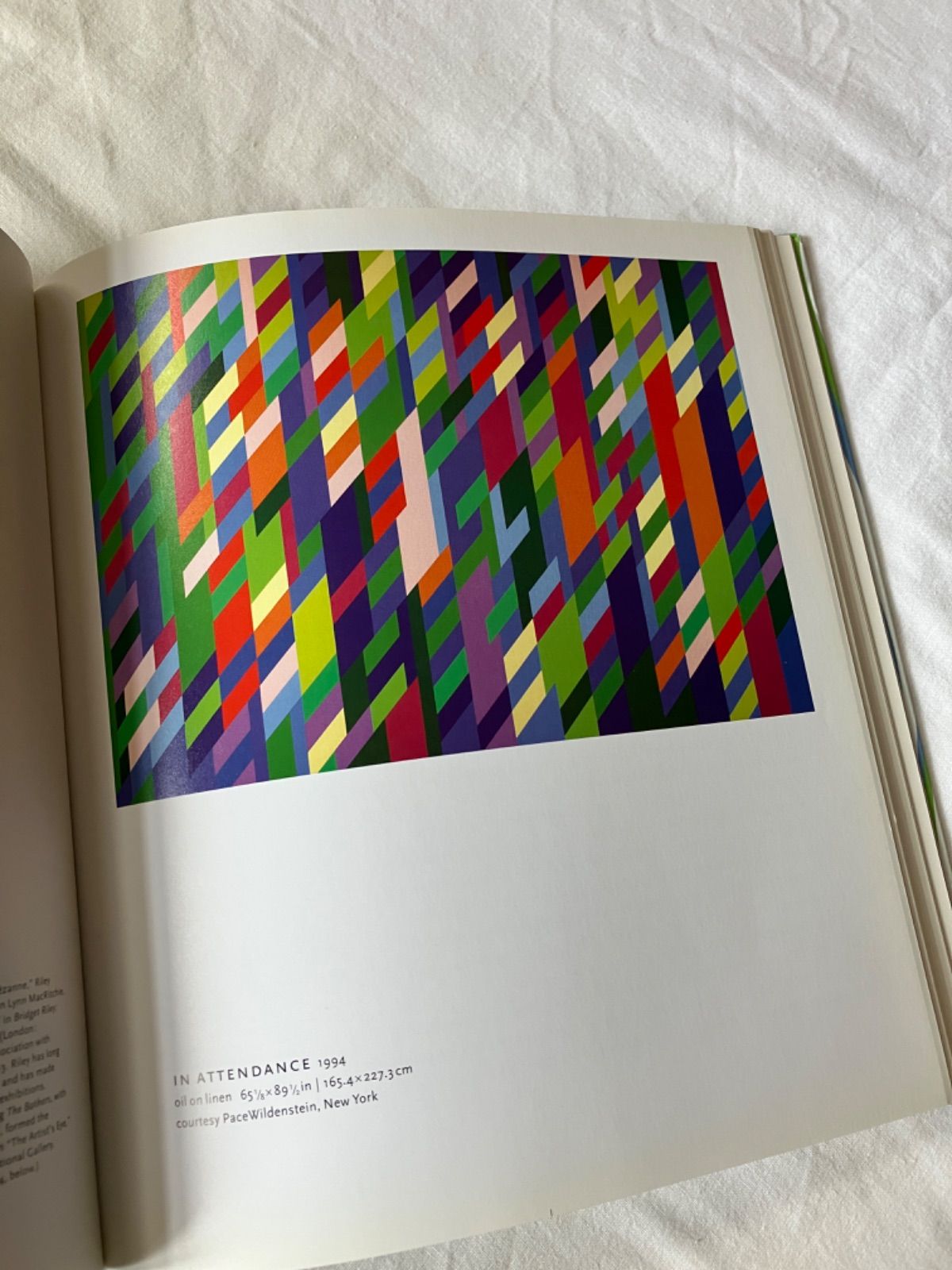 【美品】Bridget Riley ブリジット・ライリー 作品集 ブリジット・ライリー 作品集 bridget riley : reconnaissance