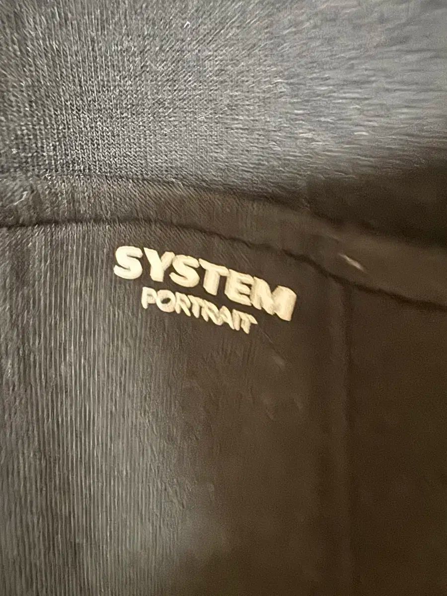 24 fw The HANDSOME SYSTEM システム ロゴ フード ジップアップ ベスト