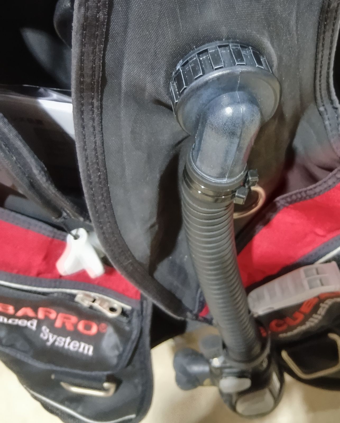 BCD Mサイズ