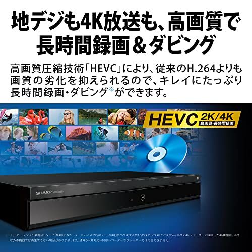 シャープ 1TB 2番組同時録画 4K ブルーレイレコーダー 4B-C10DW3