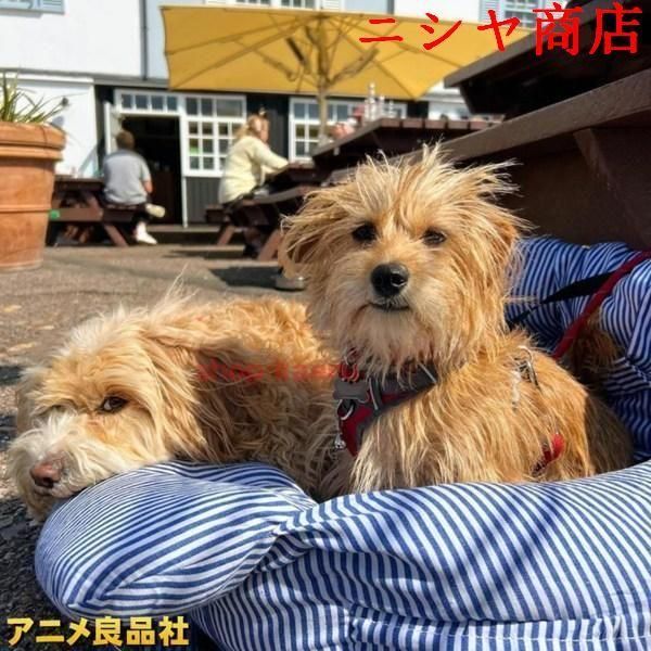 車用 ドライブシート