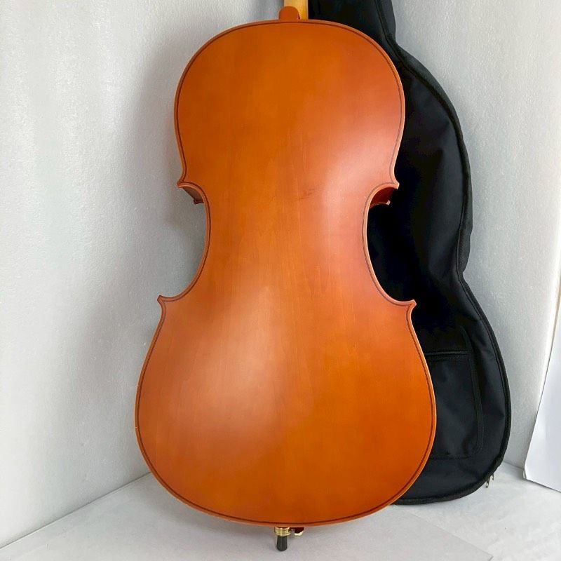Hallstatt ハルシュタット チェロ 本体 ソフトケース 楽器 弦楽器