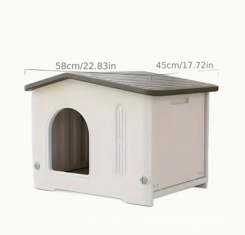 中型猫 大型猫