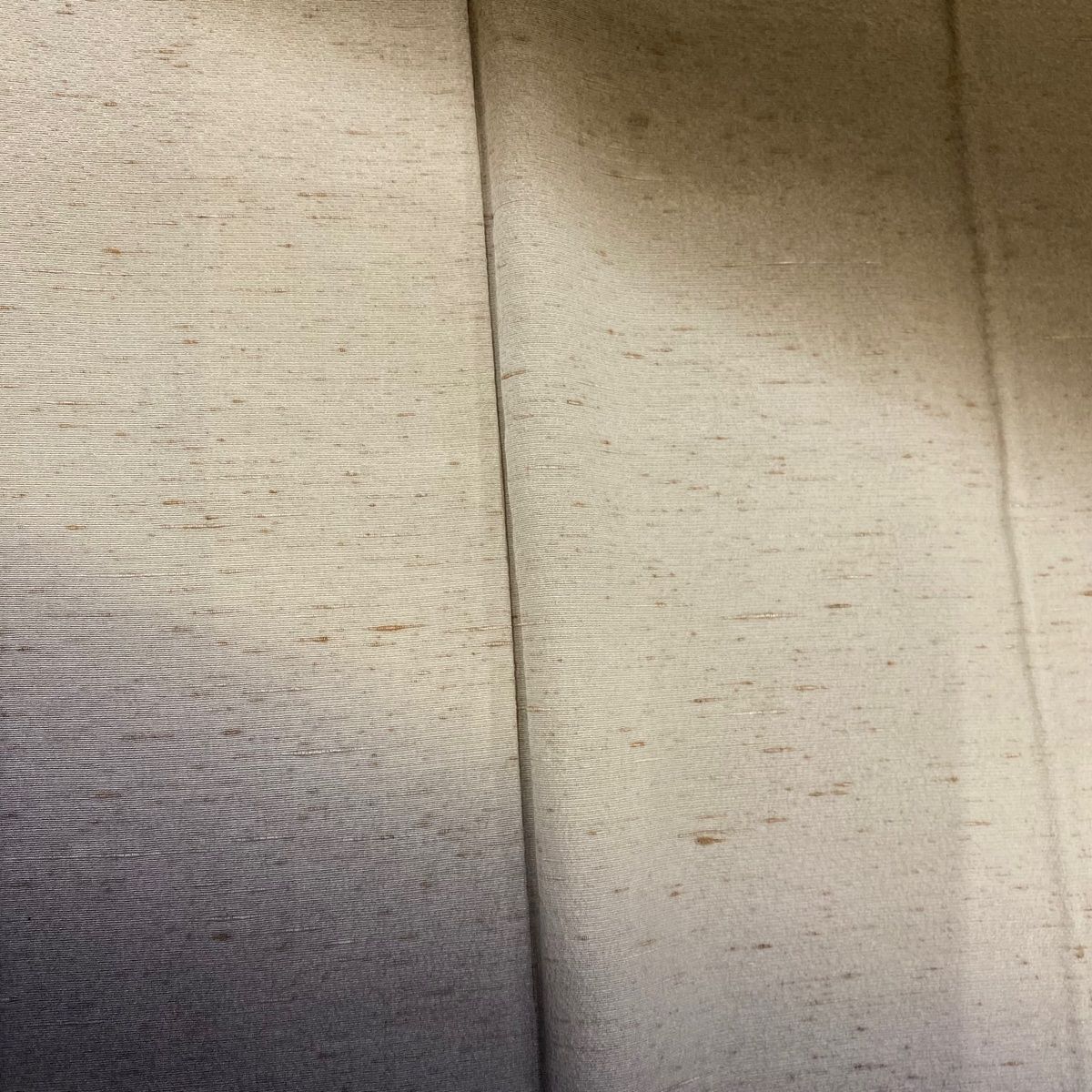 裄丈65cm