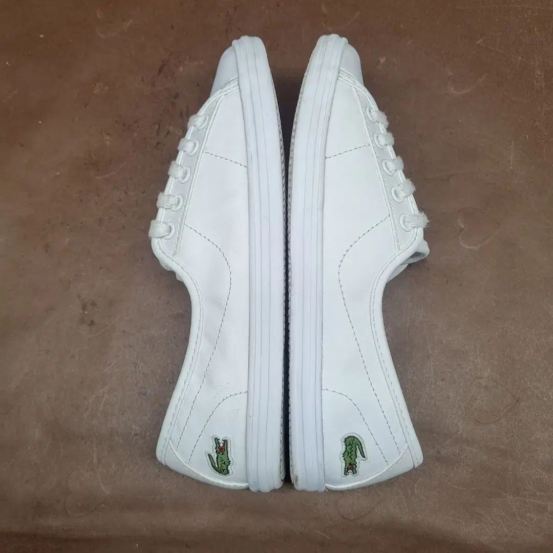LACOSTE ラコステ