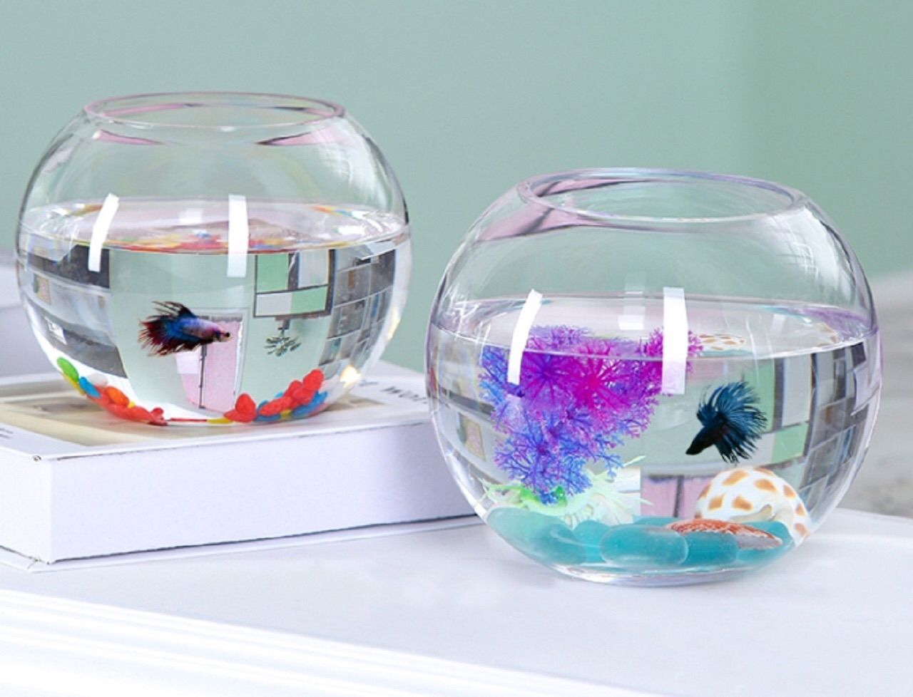 金魚鉢 ガラス テラリウム アクアリウム 花瓶 水槽 容器 ボウル ミニ