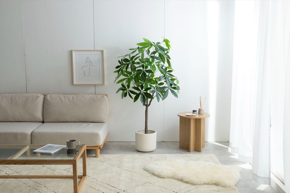 高さ150cm】Nature 光触媒人工観葉植物 パキラ 人気 光触媒人工観葉