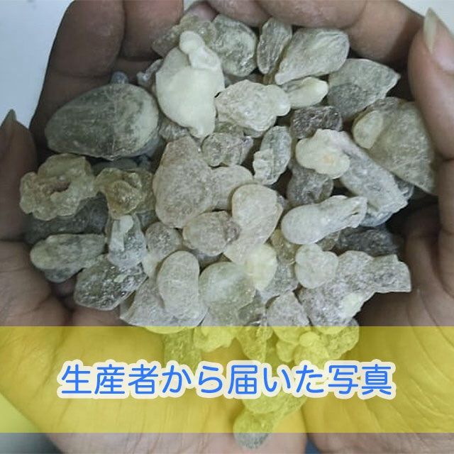 オマーン産 最高級 フランキンセンス 樹脂香 ロイヤルグリーンホ