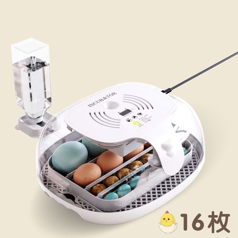 自動孵卵器 インキュベーター 検卵ライト付き 孵化器 自動転卵式 16個入卵 大容量 デジタル表示 自動温度制 湿度保持 子供 家庭用