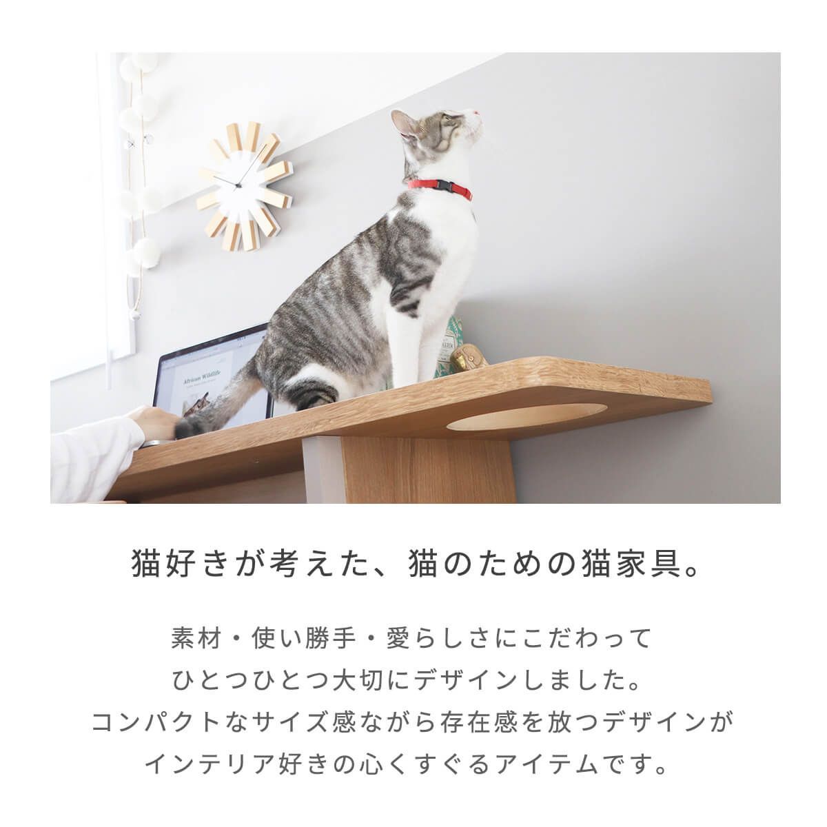 贅沢屋の 猫家具 ナチュラル キャット 勉強机 書斎机 インテリア 穴あき天板 日本製 収納棚 猫 コンパクト かわいい おしゃれ  【29120】ブラザーインクカートリッジLC217BK インクカートリッジ・詰め替えインク - americanshomeqa.com