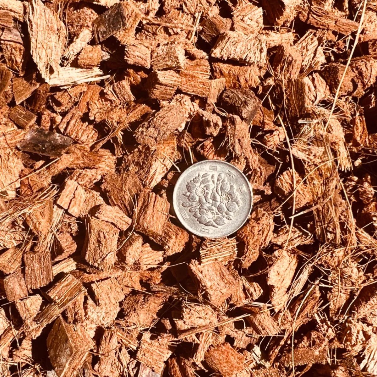 粒の揃ったヤシチップ ヤシガラ ハスクチップ ココピート ココチップ 3