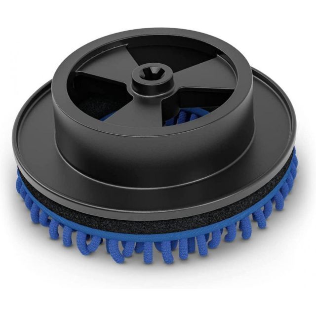 泣きのコレクション出品！ アガベ スーパーチタノタ 親株