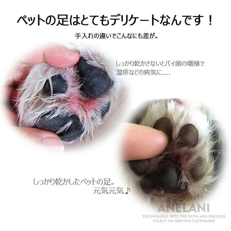 犬用ドライヤー大2000