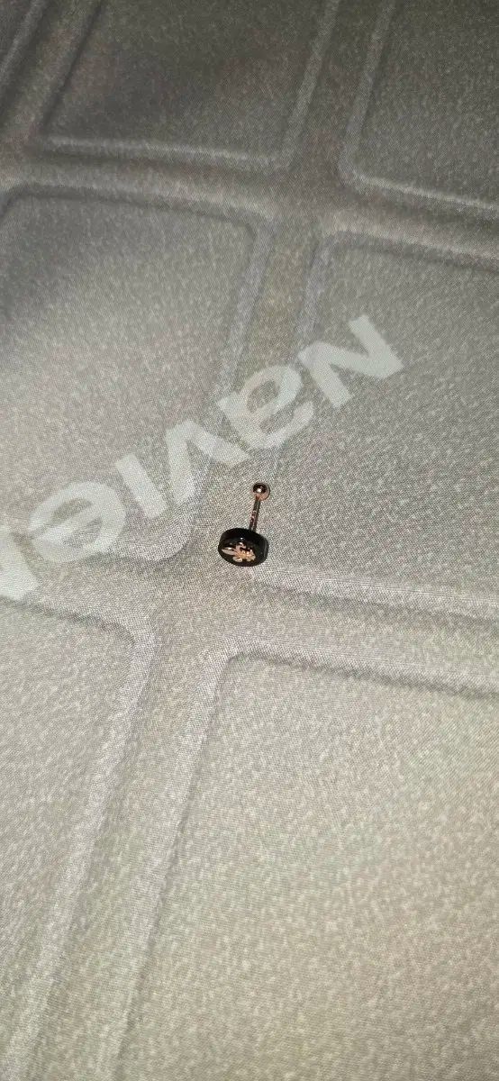 ブラック フルール デ 賃借 14k ピアス イヤリング