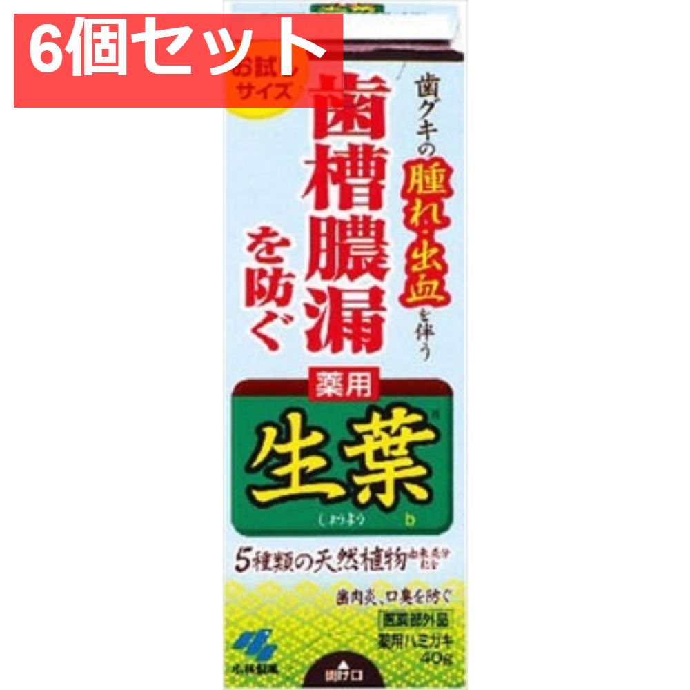 生葉b お試しサイズ 6個セット まとめ売り