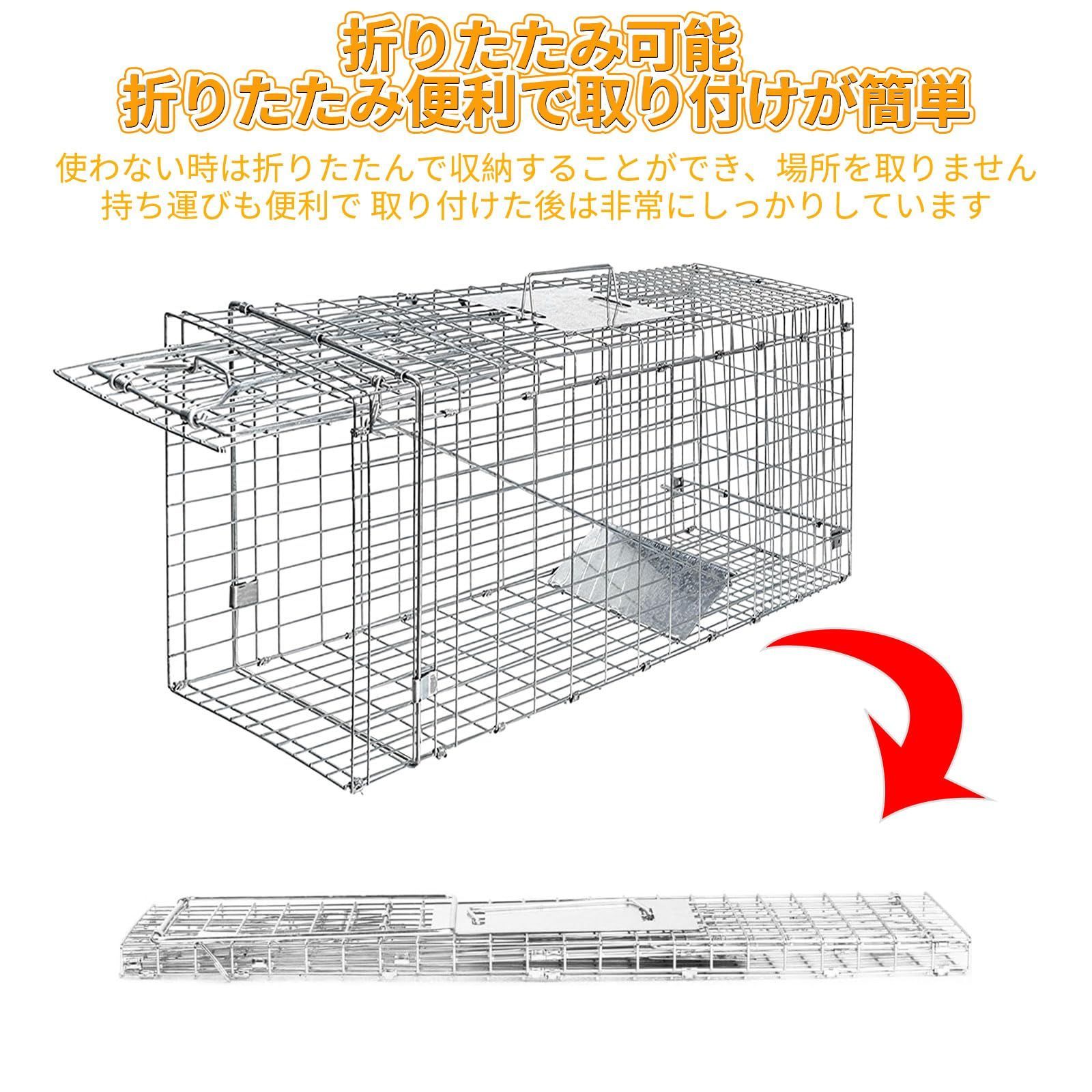 野良猫 迷子猫