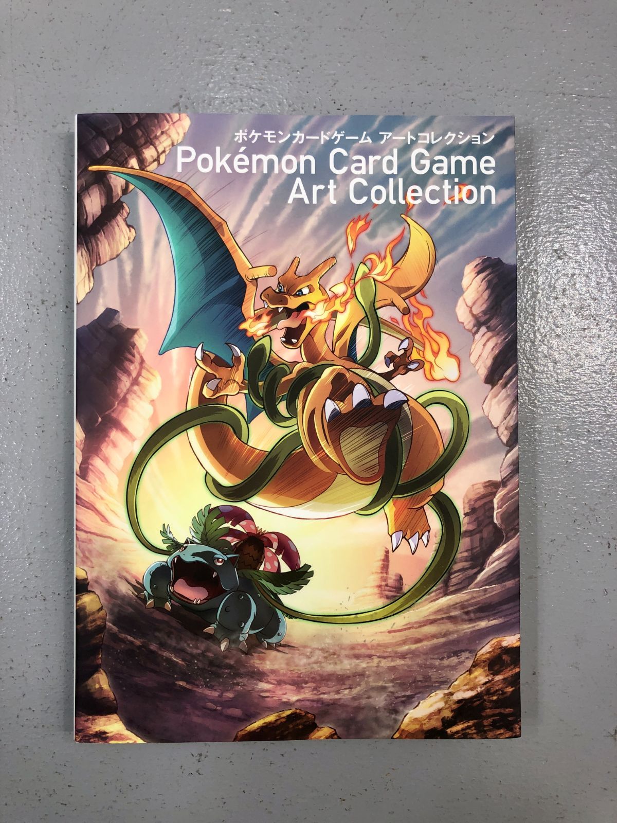 小牧店】ポケモンカードゲーム アートコレクション ※特典カード欠品