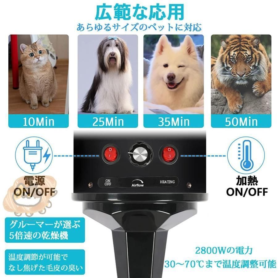 犬