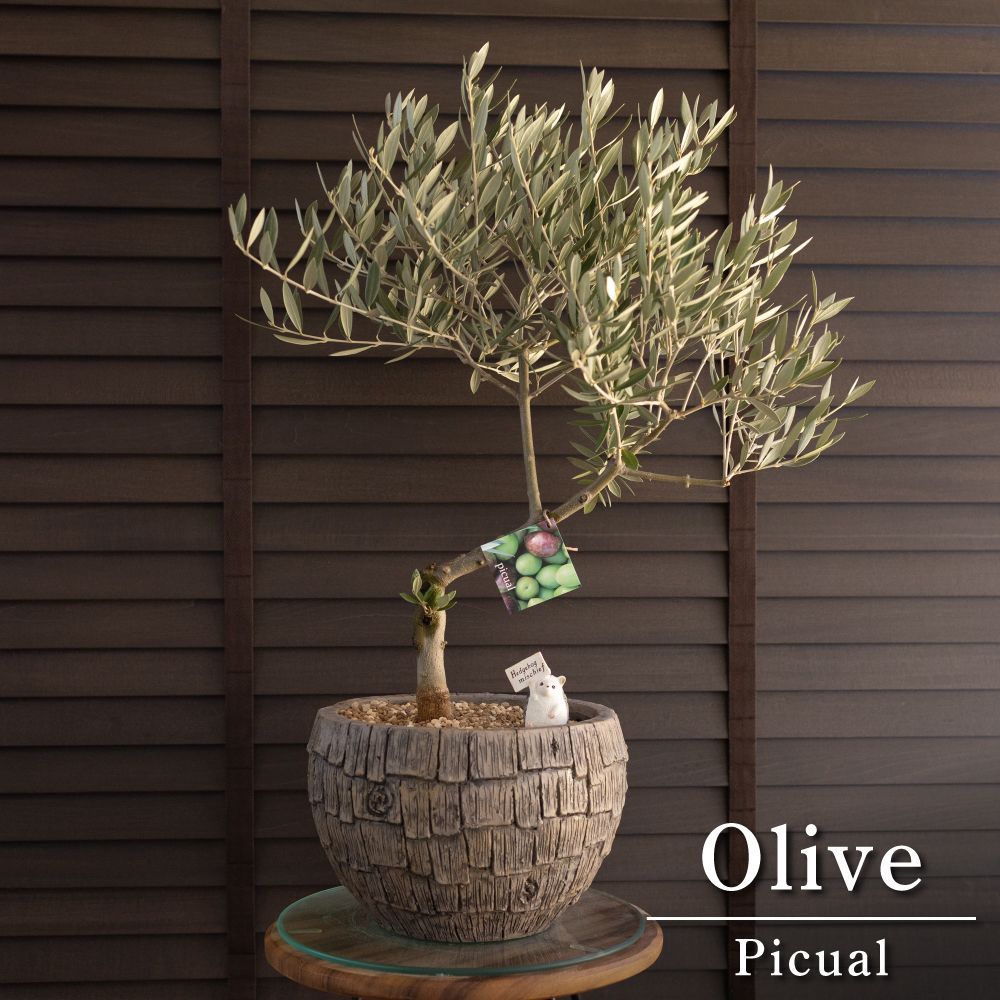 再販 人気 青りんご メモスタンド▫️フェイクグリーン・フェイク多肉植物 アレンジ 再販 人気 青りんご メモスタンド▫️フェイクグリーン・フェイク多肉